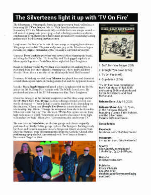 Image of Silverteens one page info sheet